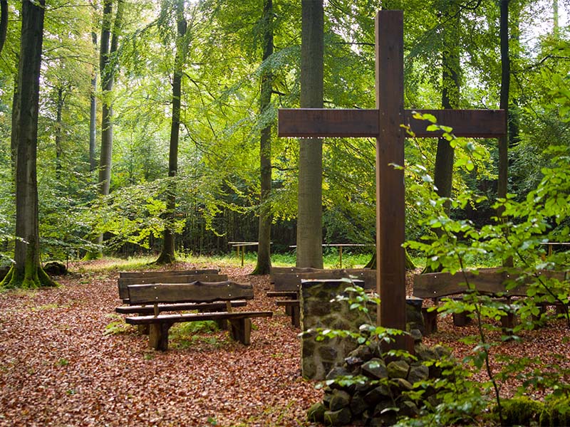Gedenkstätte bei einer Waldbestattung in Aachen