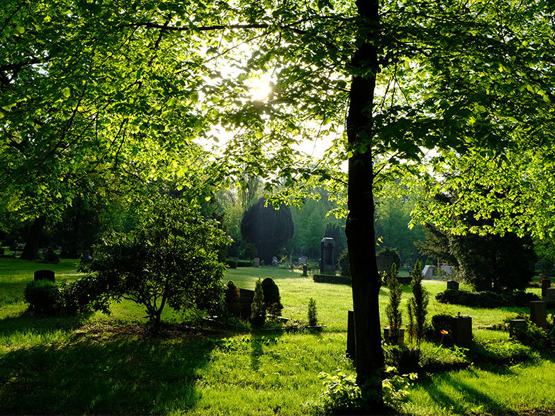 Sonnendurchfluteter Wald- und Parkbereich in Aachen mit ruhiger Atmosphäre für Waldbestattung in Aachen Umgebung naturnaher Abschiedsort